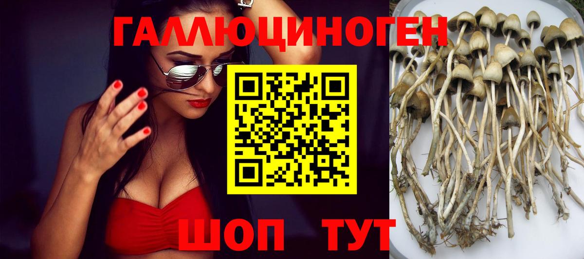Псилоцибиновые грибы мицелий Орехово-Зуево